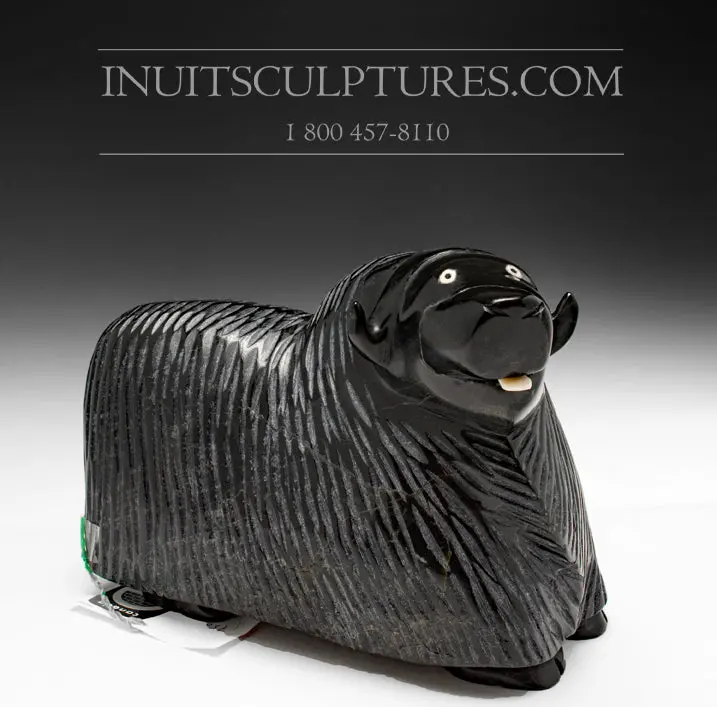 10-Inch Approachable Muskox Sculpture By Pits Qimirpik 1