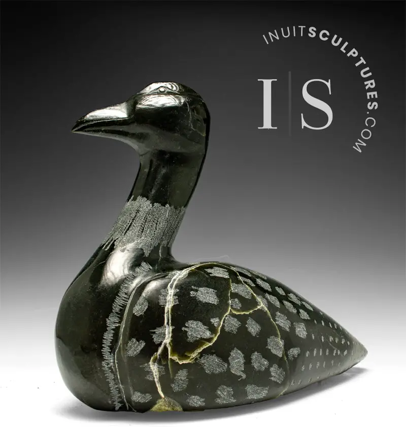 11-Inch Loon Artwork By Dale Ford – "Sailing The Seven Seas" 1