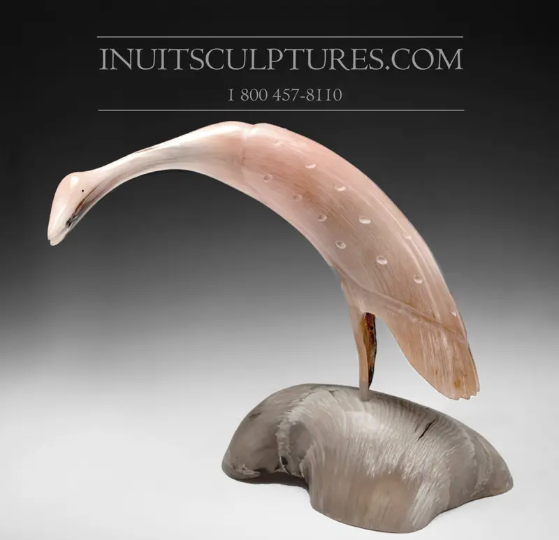 11-Inch Muskox-Horn Loon Sculpture By Buddy Alikamik 1