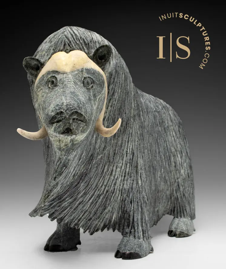 12-Inch Muskox Carving By Lucassie Ikkidluak – Imagine All The People 1