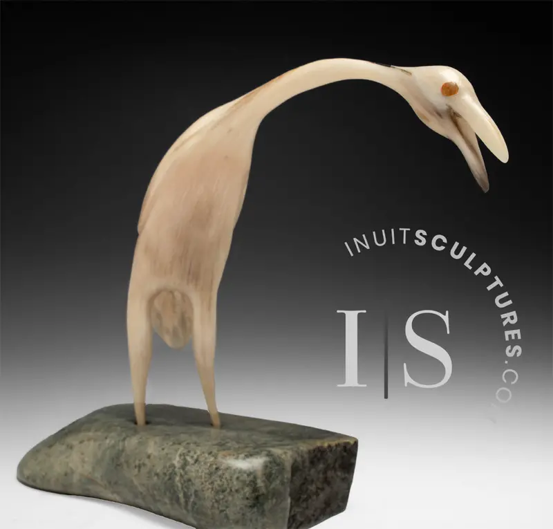 12-Inch Muskox Horn Crane By Buddy Alikamik – 'The Eyes Have It' 1
