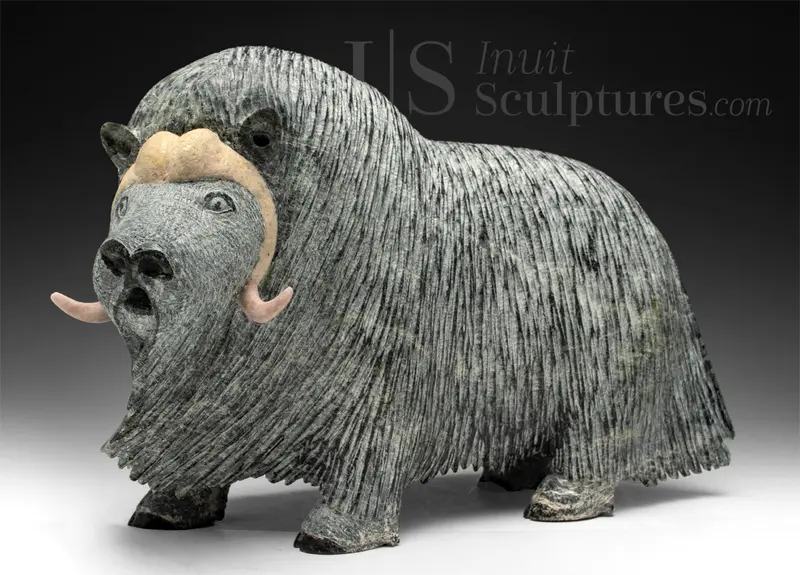 13-Inch Signature Muskox By Lucassie Ikkidluak — 'Augustus' Arctic Animal Art 1