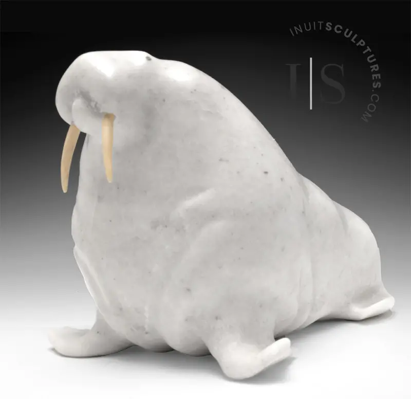 13-Inch Vintage Basking Walrus By Jimmy Kopak – 'Sagacious' 1