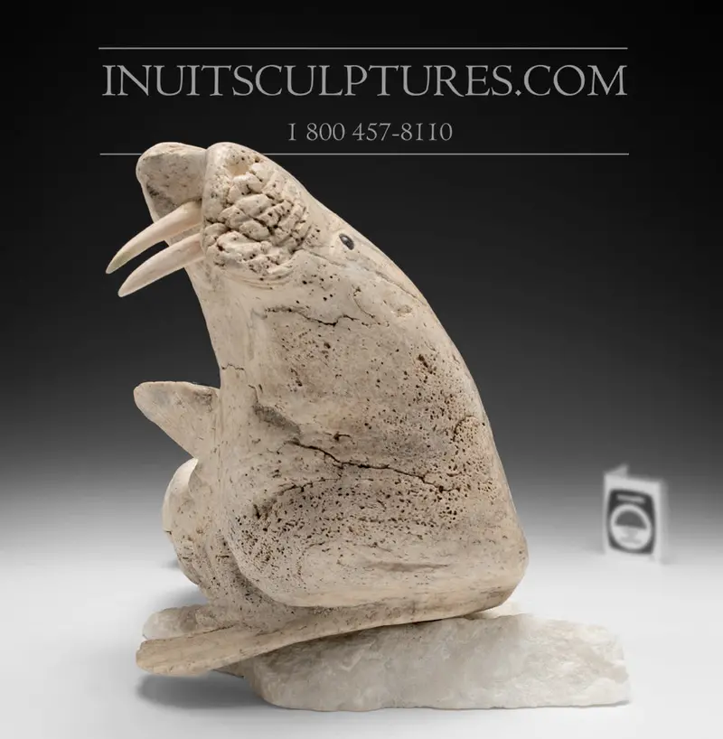 14-Inch Walrus Carving In Baleen By Manasie Akpaliapik 1