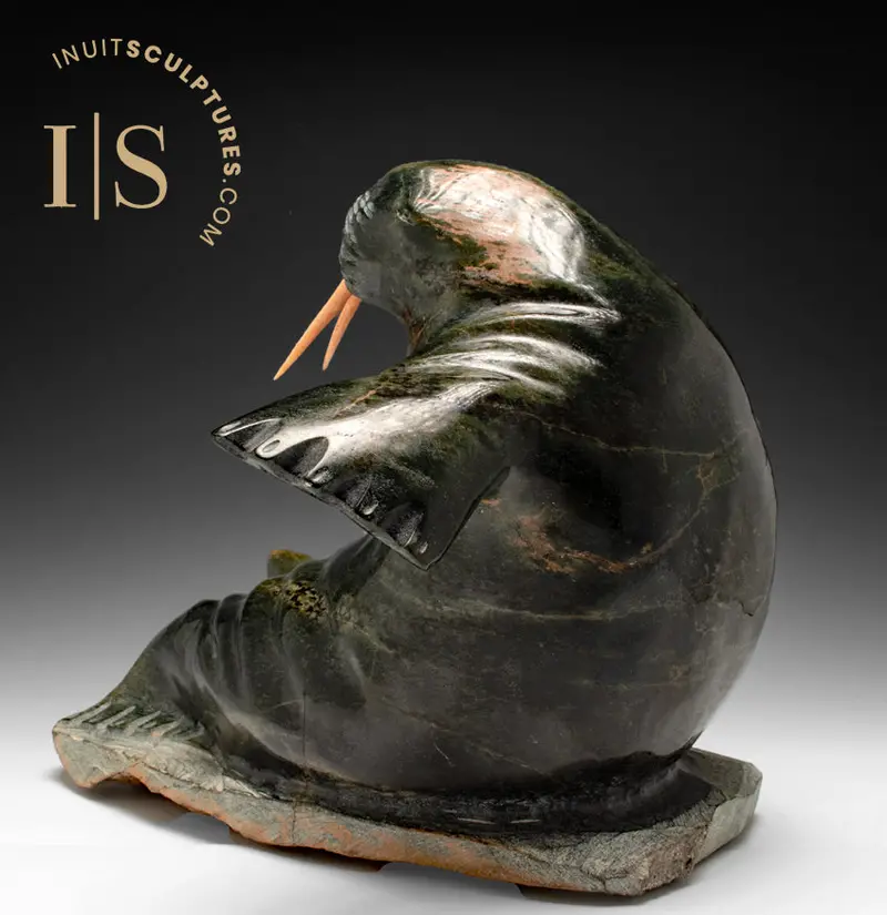 14-Inch Walrus Sculpture By Jaco Ishulutak — 'Calvin' 1
