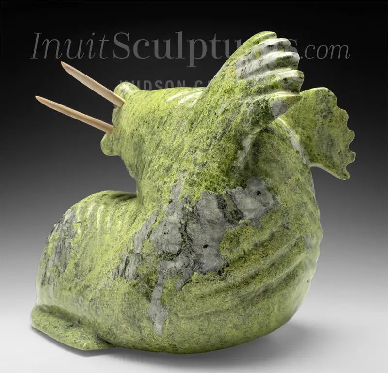 16-Inch Basking Walrus Carving By Noah Jaw – 'Orion' 1