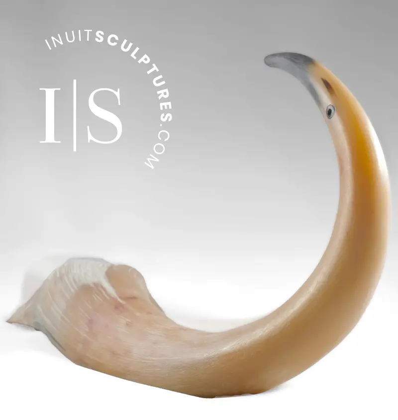 16-Inch Muskox Horn Crane By Charlie Ookpik – Hatch Series 1