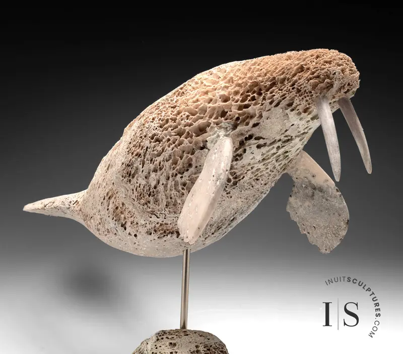 18-Inch Walrus Sculpture By Billy Merkosak – Big Boy Edition, Bold Arctic Mammal Carving 1