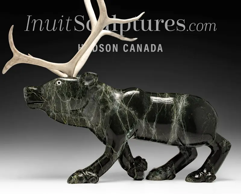 20-Inch Caribou Sculpture By Toonoo Sharky – Majestic Tundra Wildlife Art 'Tundra King Rudolph' 1