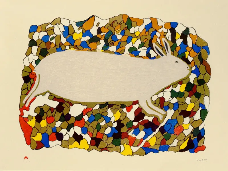2013 Startled Hare – Papiara Tukiki Drawing 1