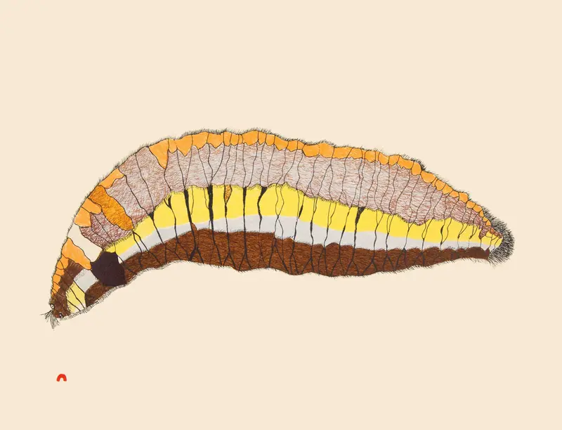 2018 Woollybear Caterpillar (2014) — Papiara Tukiki Art 1