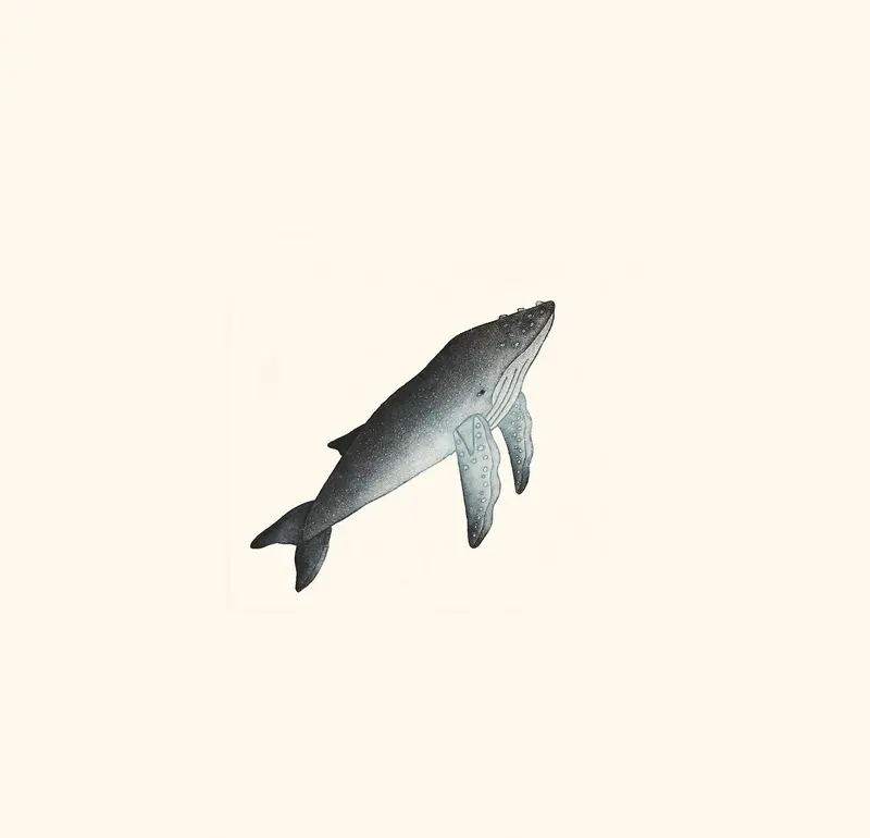 2020 Whale Lithograph By Qavavau Manumie 1