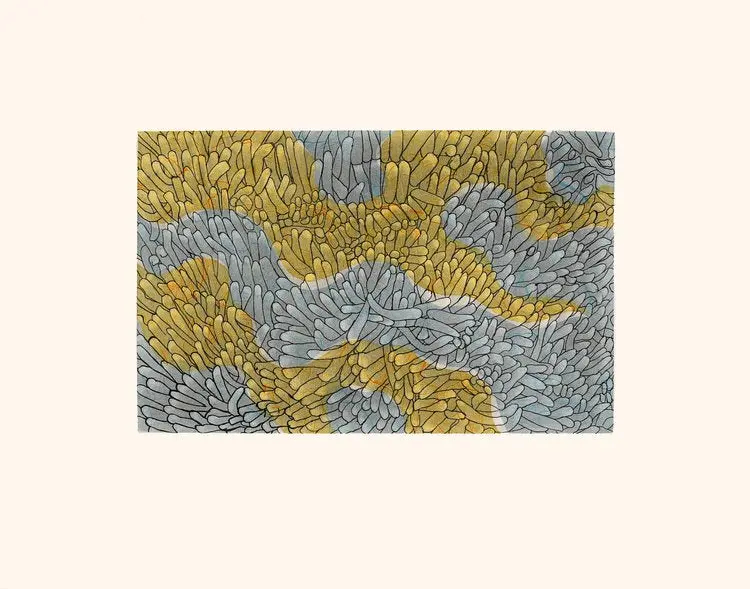 2022 Dorset Collection Print: 'Coral Reef' By Olooreak Etungat 1