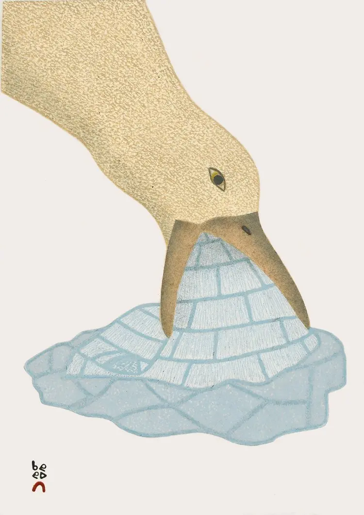 2022 Dorset Collection Print: 'Icy Treat' By Qavavau Manumie 1