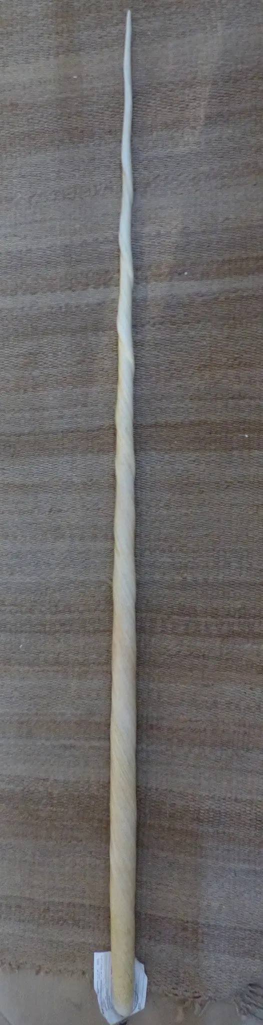 224 Cm (89 In) Large Narwhal Tusk 1
