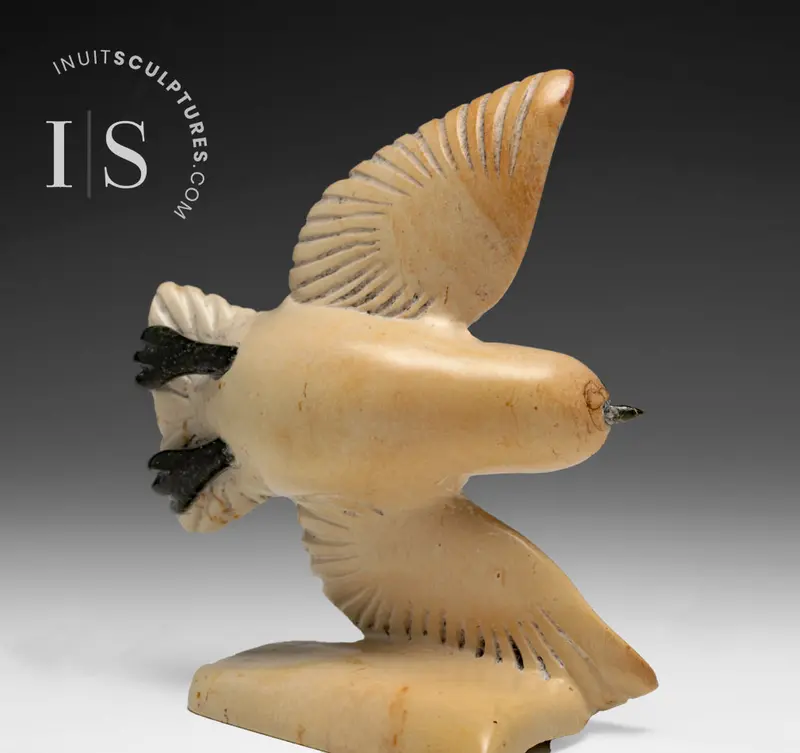 5-Inch Bird In Flight Sculpture By Kelly Etidloie – Living On The Knife Edge 1