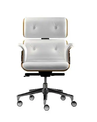 Armadillo/2 Ergonomic Executive Armchair With Lumbar Support 1