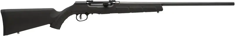 Browning A17 .17 Hmr Semi-Automatic Rifle 1