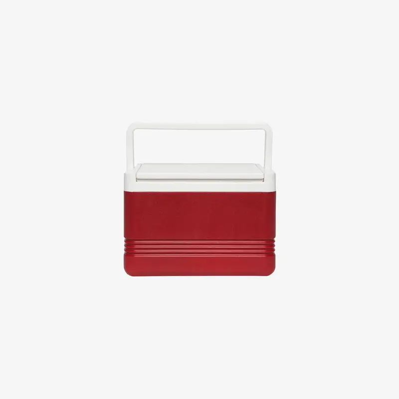 Compact 5-Quart Legend Cooler – Holds Up To 6 Cans 1
