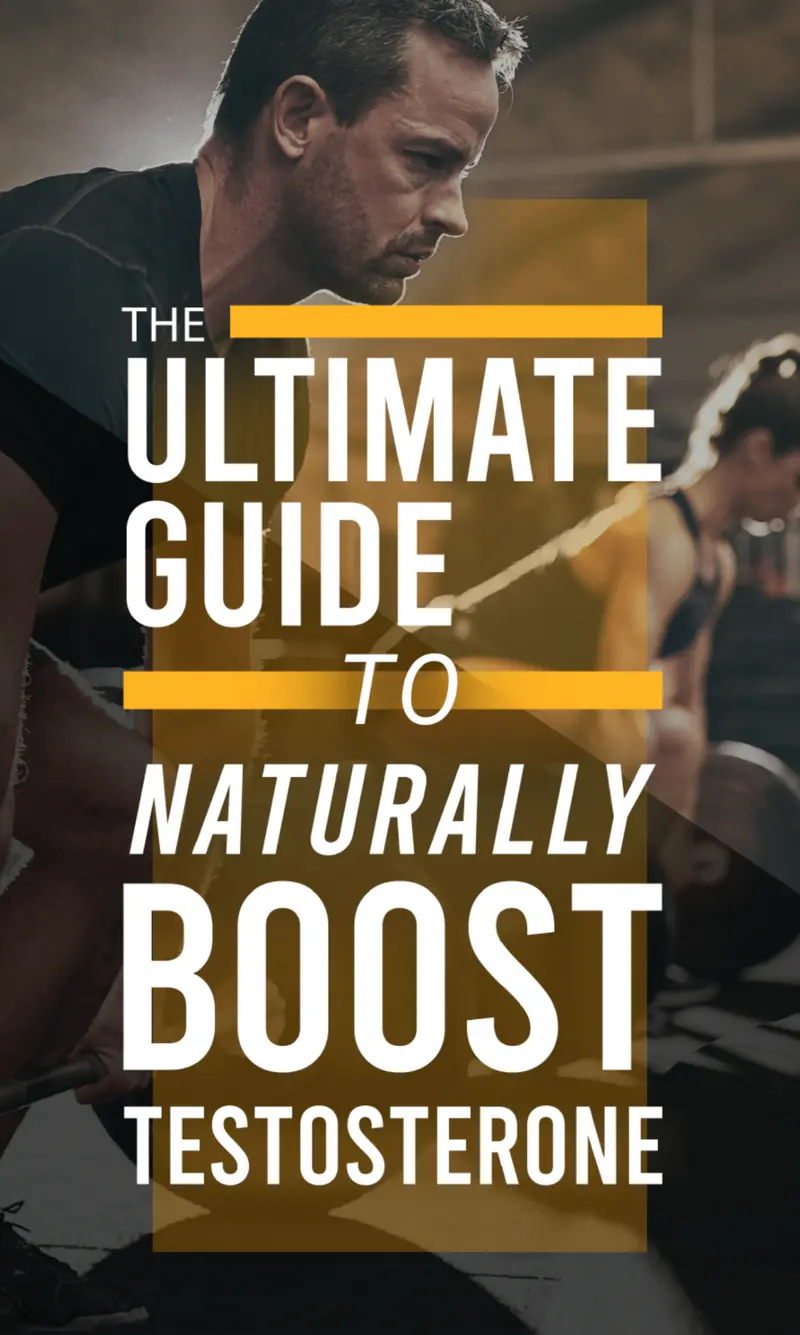 Natural Testosterone Optimization Masterclass 1