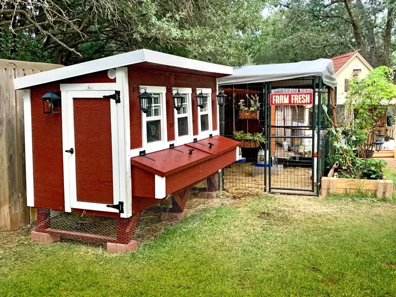 Overez Xl Chicken Coop – Supports Up To 20 Chickens 1