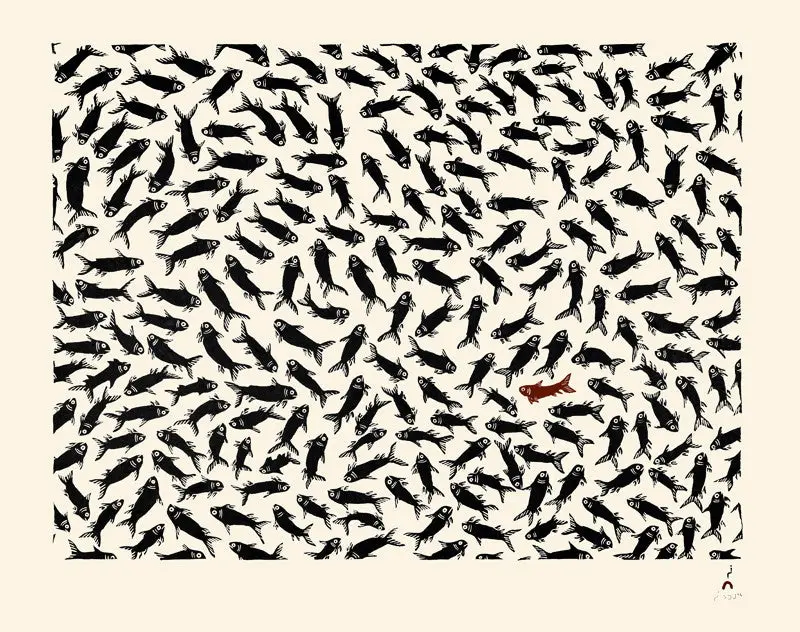 School Of Fish Etching, 2015 — Cee Pootoogook 1