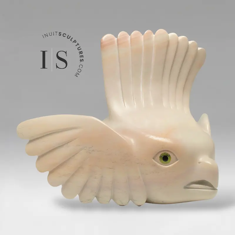 Toonoo Sharky’S Signature 16" Owl — *Peony, Pretty In Pink* 1